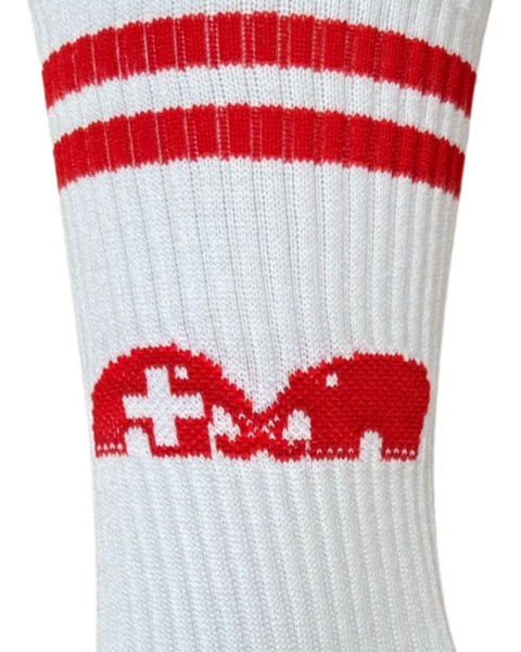 TK SPORTSOCKEN SUI